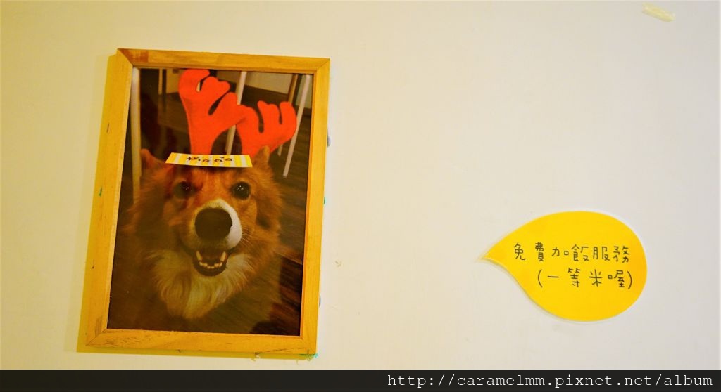 DSC09417.jpg DSC09417.jpg