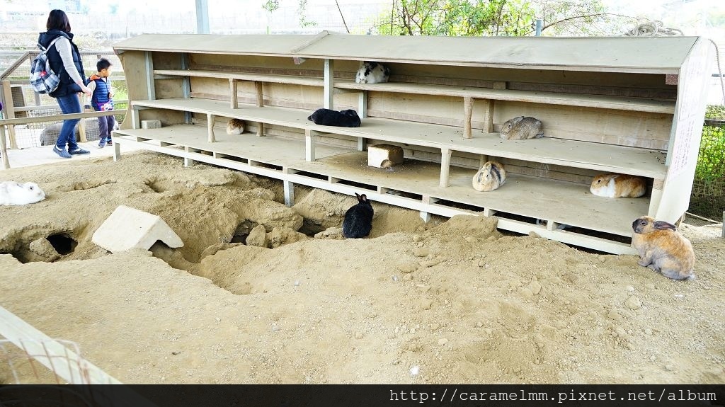 DSC00061.jpg DSC00061.jpg