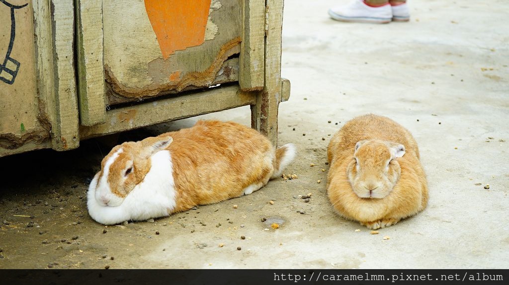 DSC00064.jpg DSC00064.jpg