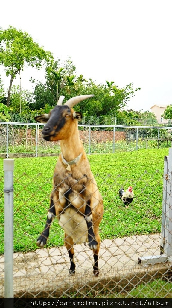 DSC00068.jpg DSC00068.jpg