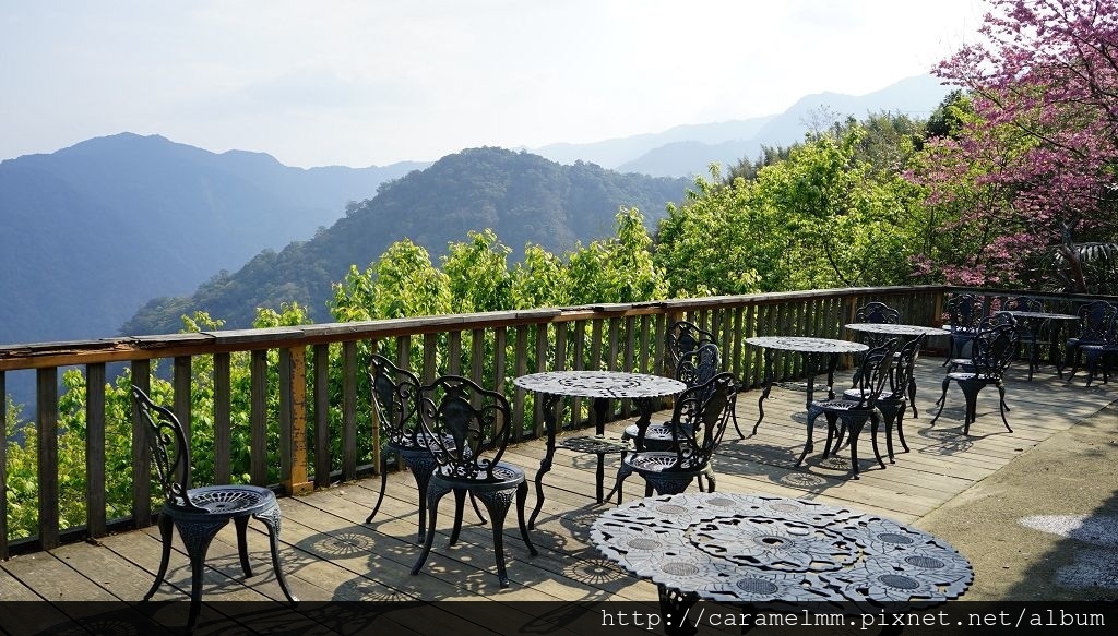 DSC00091.jpg DSC00091.jpg