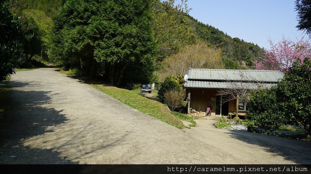 DSC00100.jpg DSC00100.jpg