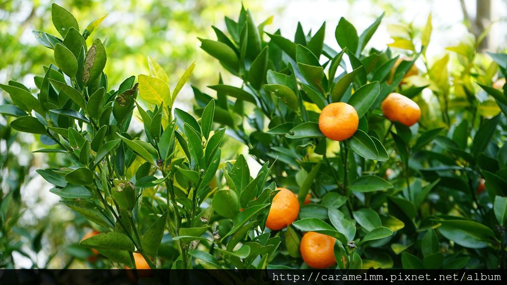 DSC00101.jpg DSC00101.jpg