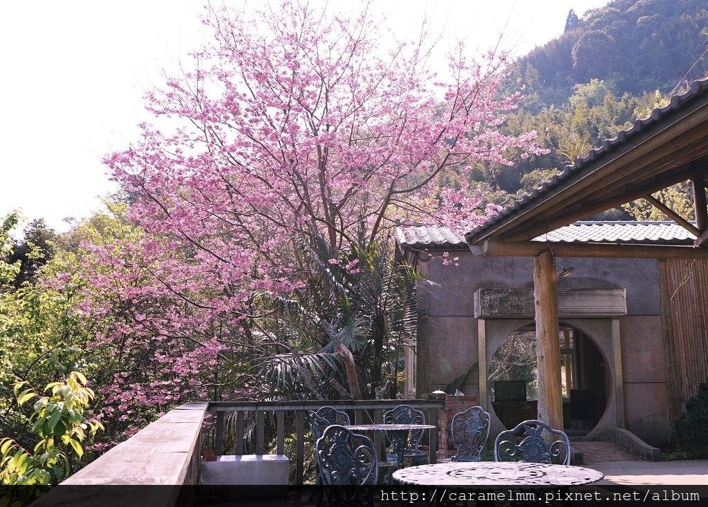 DSC00108.jpg DSC00108.jpg