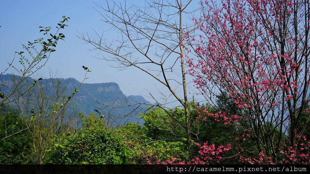 DSC00156.jpg DSC00156.jpg