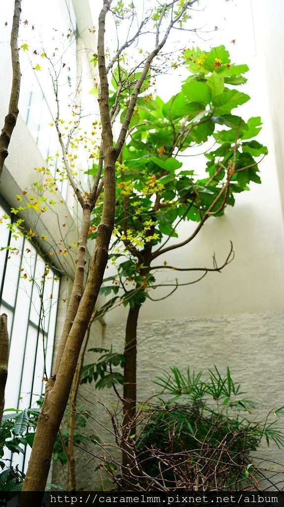 DSC00701.jpg DSC00701.jpg