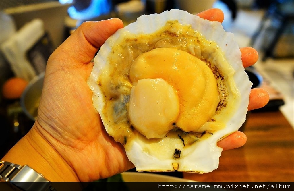 DSC02106.jpg DSC02106.jpg