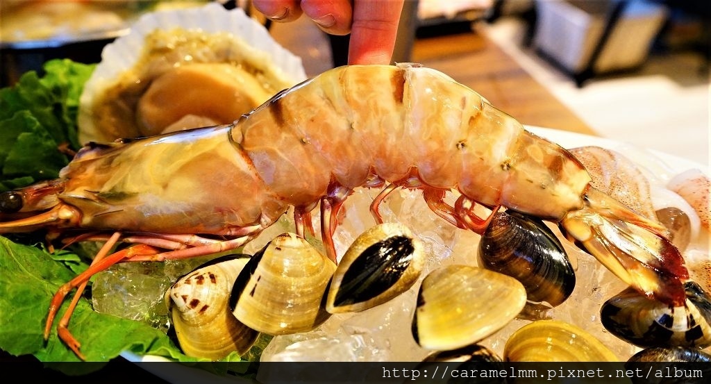 DSC02102.jpg DSC02102.jpg