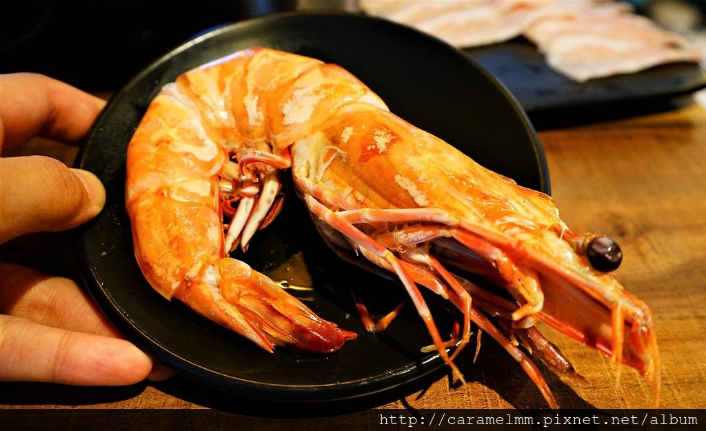 DSC02139.jpg DSC02139.jpg