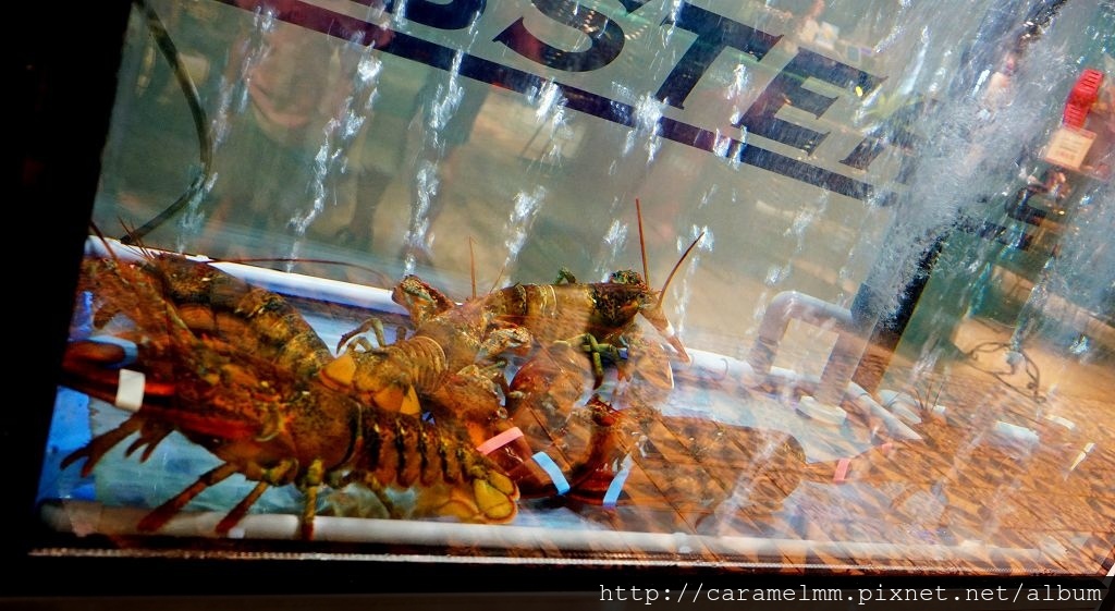 DSC04337.jpg DSC04337.jpg