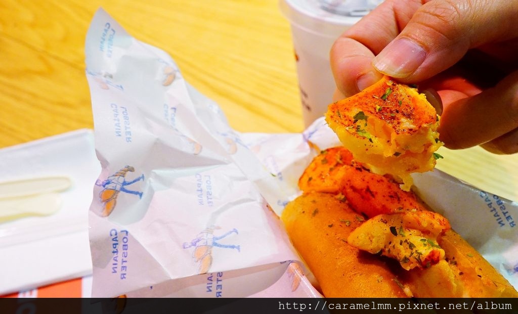 DSC04381.jpg DSC04381.jpg