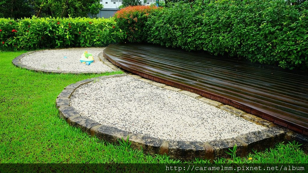 DSC05479.jpg DSC05479.jpg