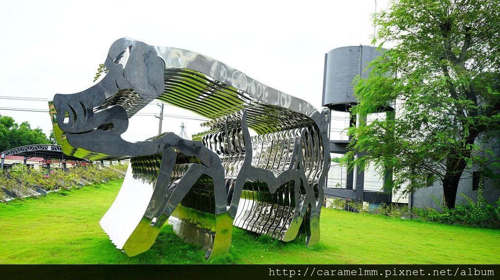 DSC05503.jpg DSC05503.jpg