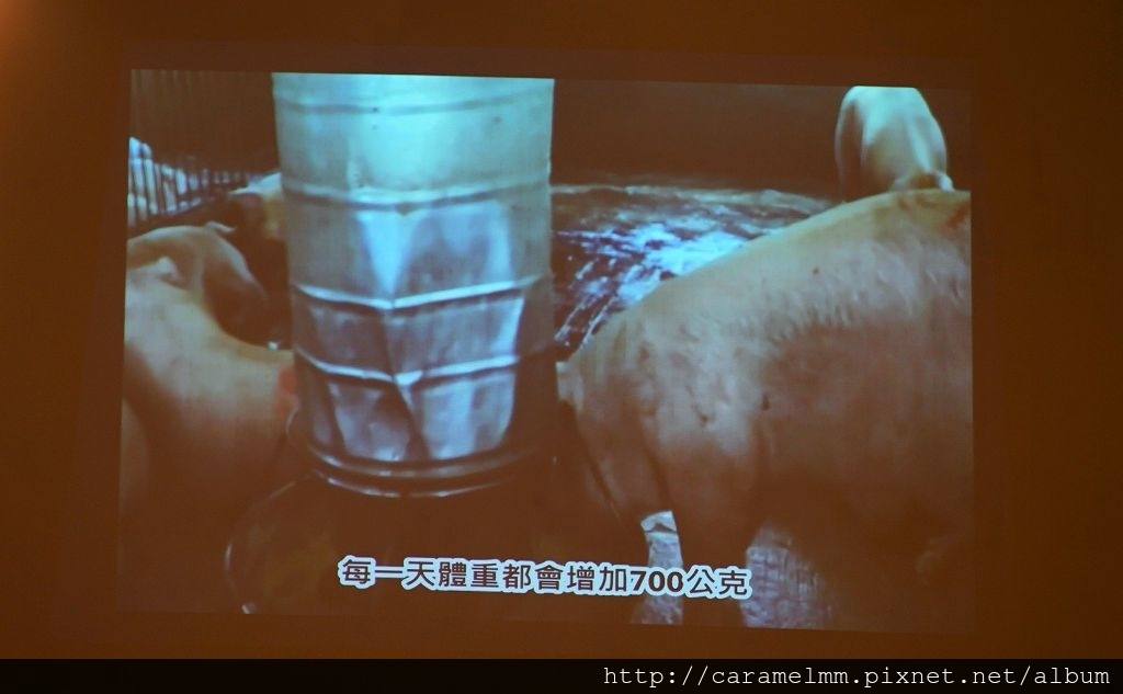 DSC05544.jpg DSC05544.jpg