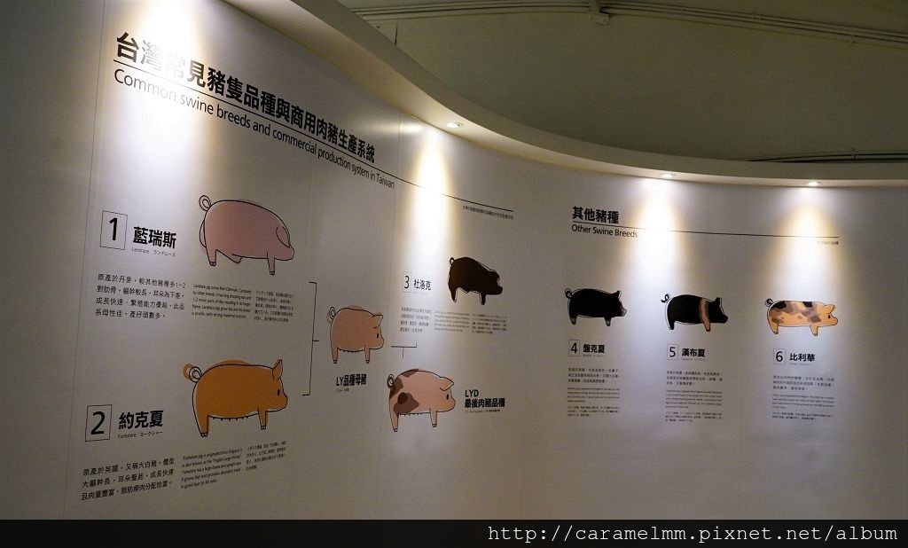 DSC05548.jpg DSC05548.jpg