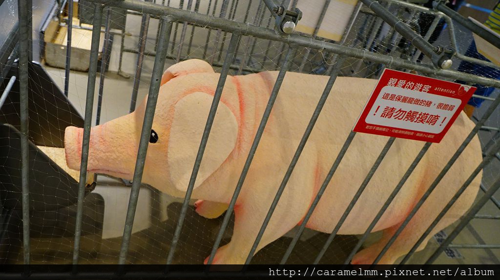 DSC05552.jpg DSC05552.jpg