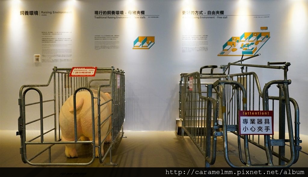 DSC05556.jpg DSC05556.jpg