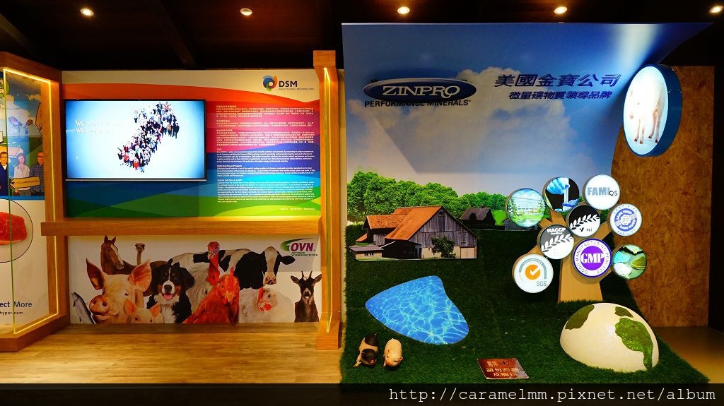 DSC05589.jpg DSC05589.jpg