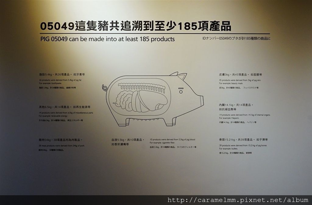 DSC05593.jpg DSC05593.jpg