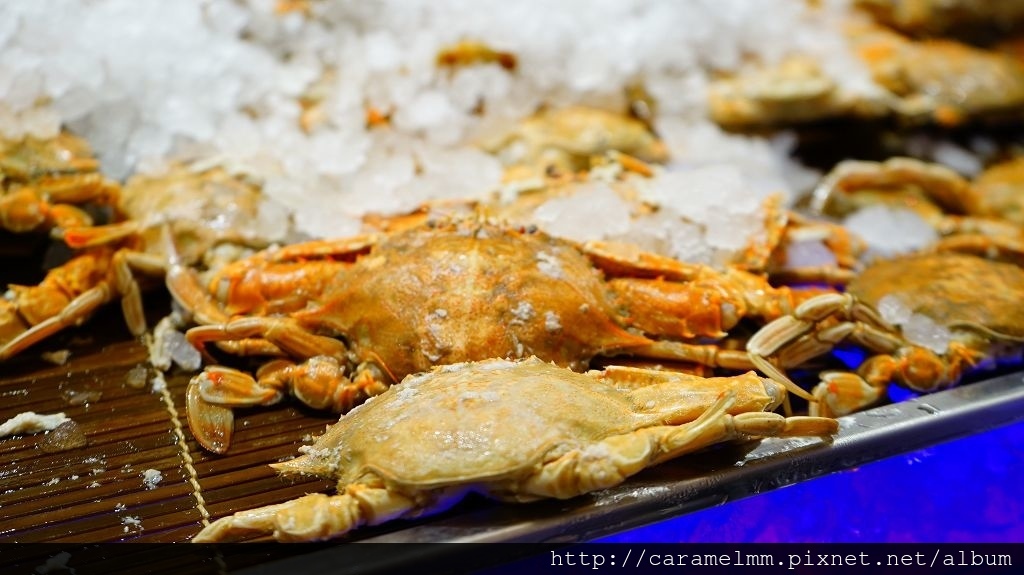 DSC01717.jpg DSC01717.jpg