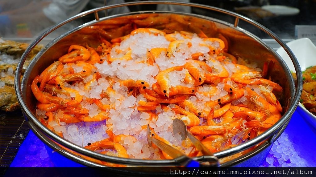 DSC01716.jpg DSC01716.jpg