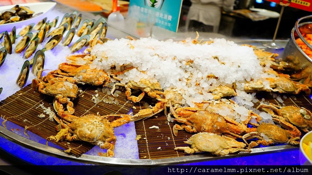 DSC01718.jpg DSC01718.jpg