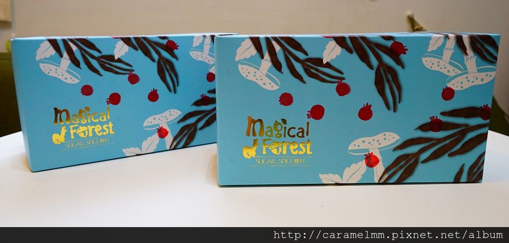 DSC06552.jpg DSC06552.jpg