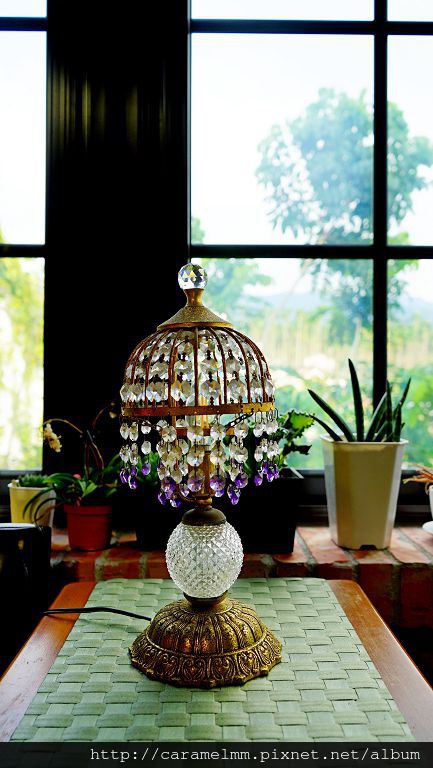 DSC07224.jpg DSC07224.jpg