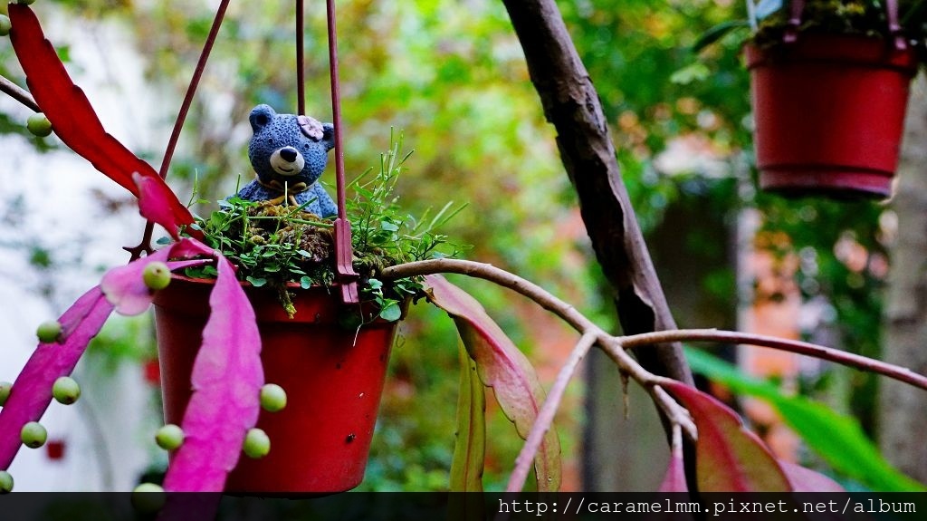 DSC07320.jpg DSC07320.jpg