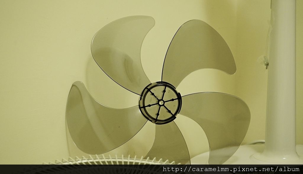 DSC07611.jpg DSC07611.jpg