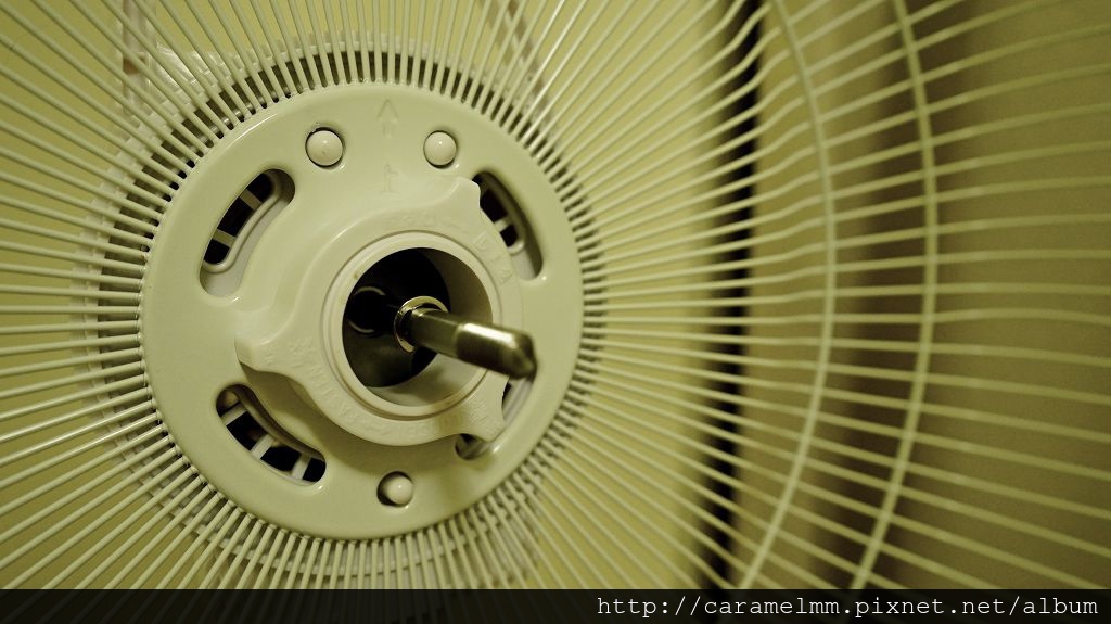 DSC07625.jpg DSC07625.jpg