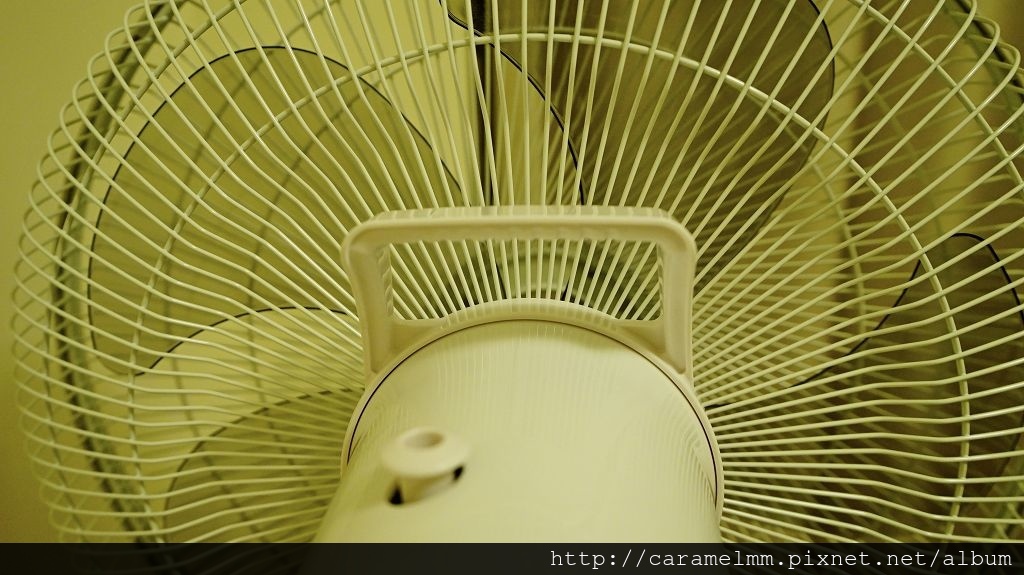 DSC07675.jpg DSC07675.jpg