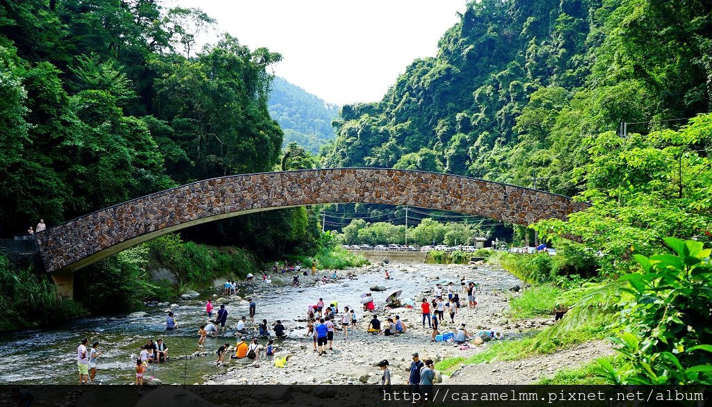 DSC07137.jpg DSC07137.jpg