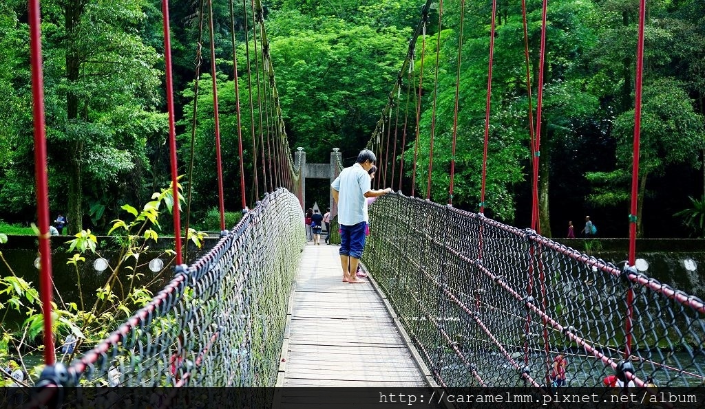 DSC07133.jpg DSC07133.jpg