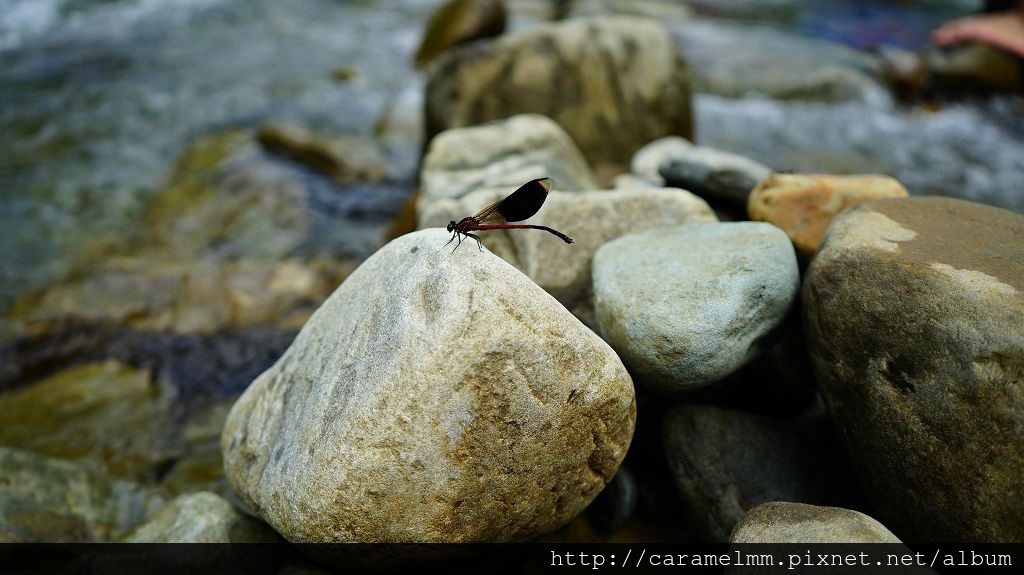 DSC07160.jpg DSC07160.jpg