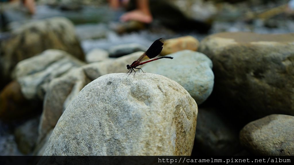 DSC07162.jpg DSC07162.jpg