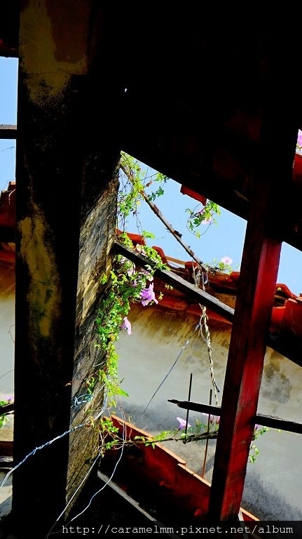 DSC07402.jpg DSC07402.jpg