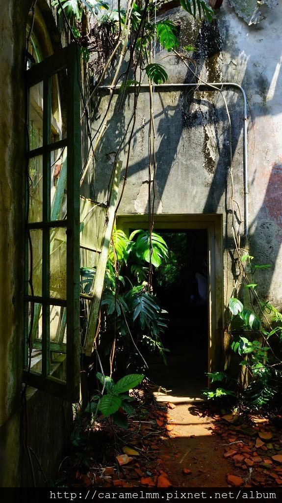 DSC07399.jpg DSC07399.jpg