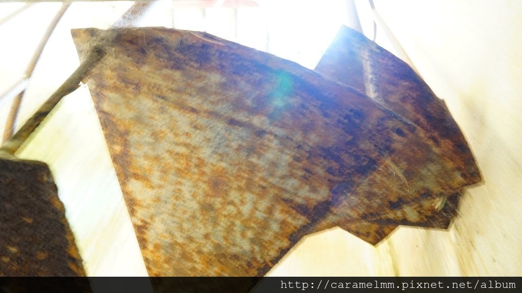 DSC07418.jpg DSC07418.jpg