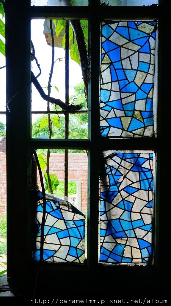 DSC07419.jpg DSC07419.jpg