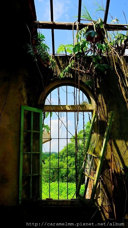 DSC07422.jpg DSC07422.jpg