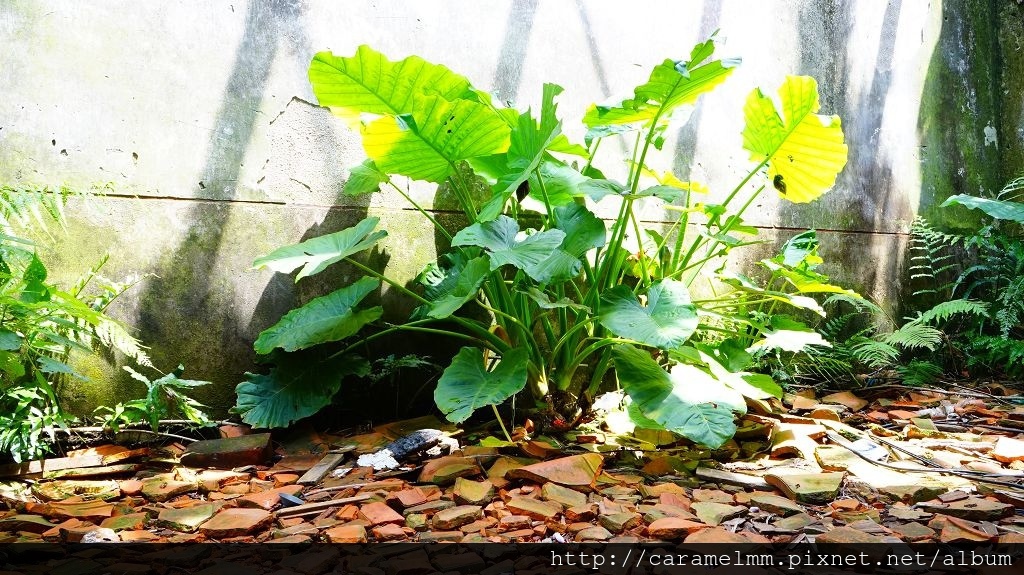 DSC07448.jpg DSC07448.jpg