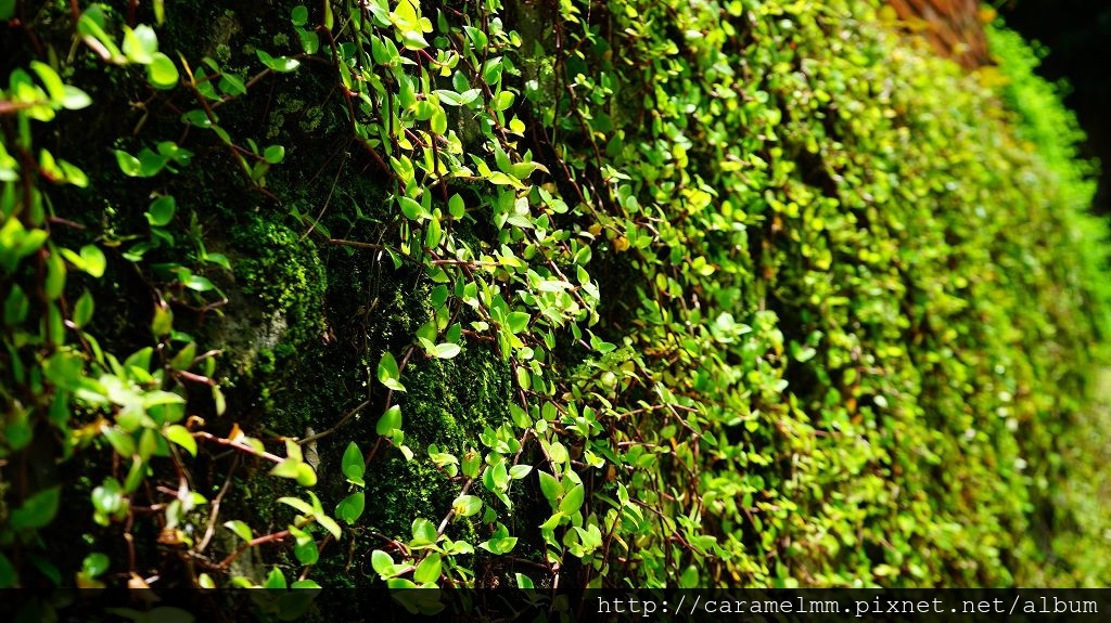 DSC06967.jpg DSC06967.jpg