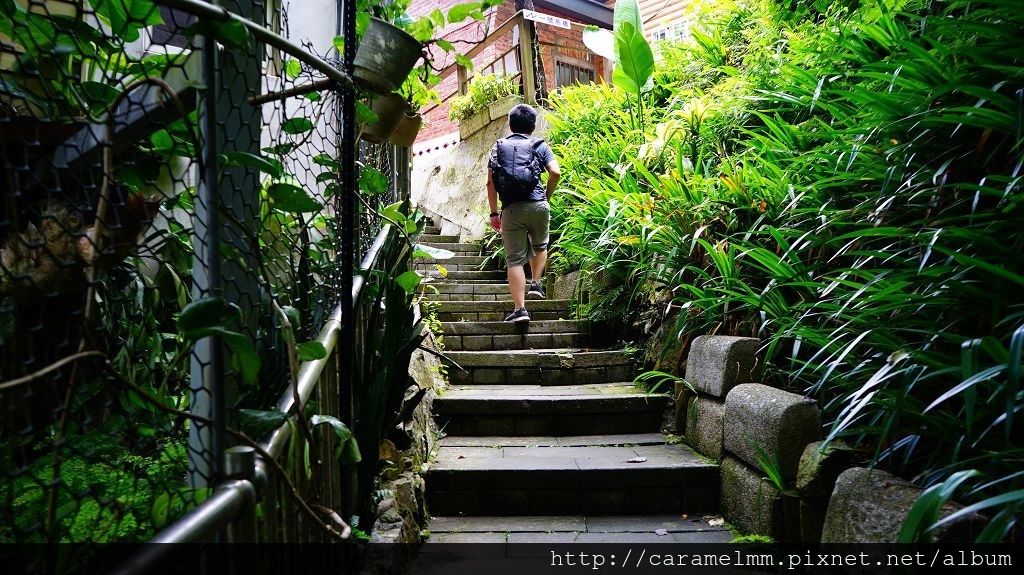 DSC06972.jpg DSC06972.jpg