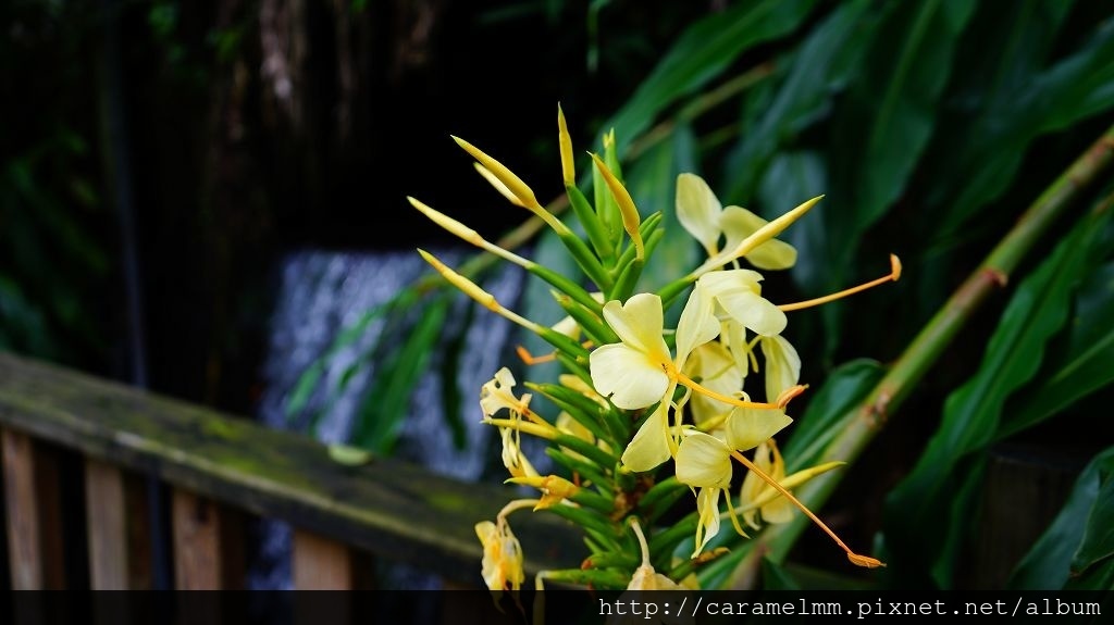 DSC06992.jpg DSC06992.jpg