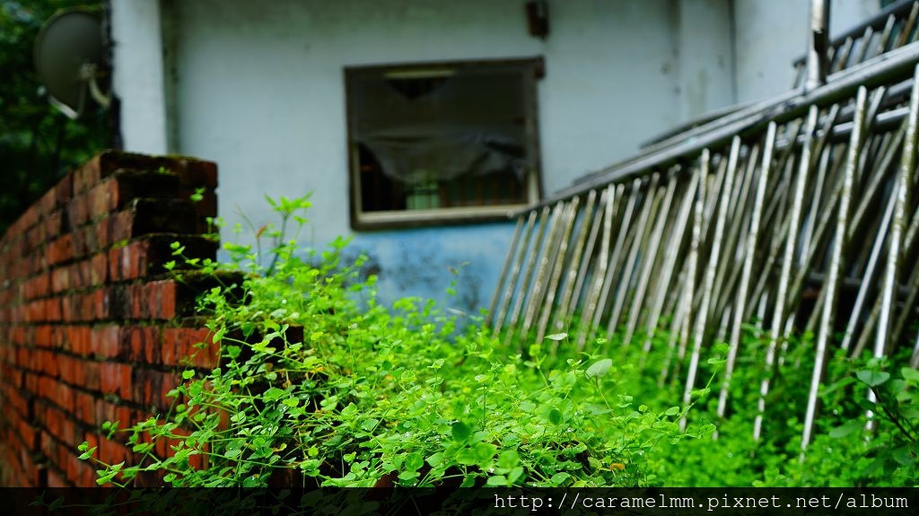 DSC06977.jpg DSC06977.jpg