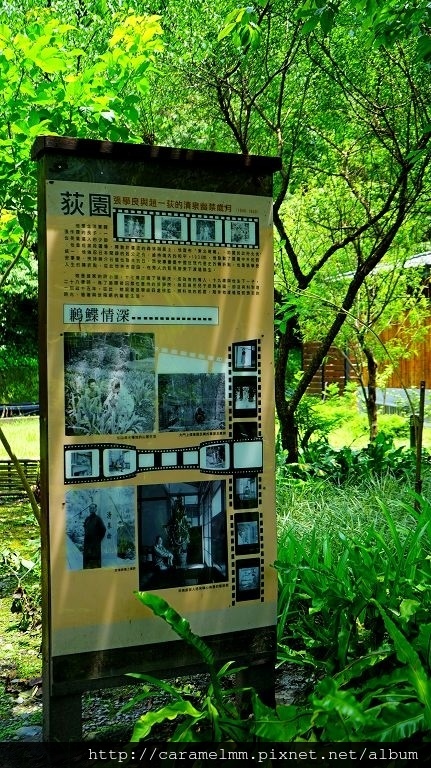 DSC07110.jpg DSC07110.jpg