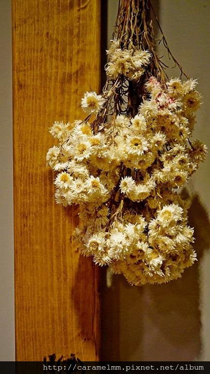 DSC08646.jpg DSC08646.jpg