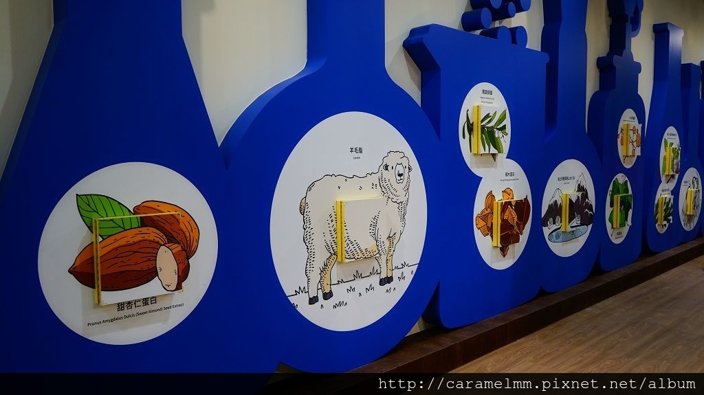 DSC09061.jpg DSC09061.jpg