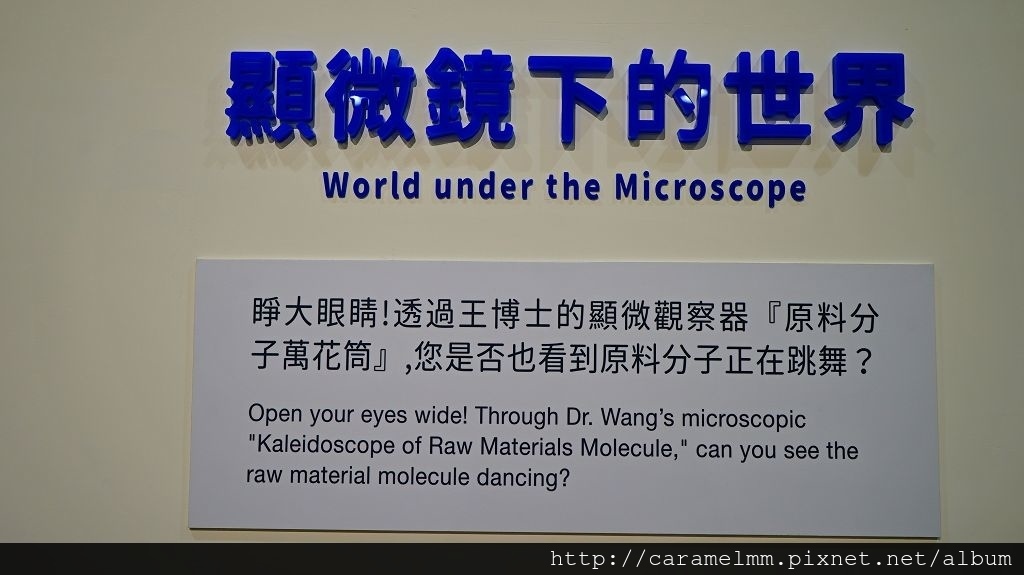 DSC09064.jpg DSC09064.jpg